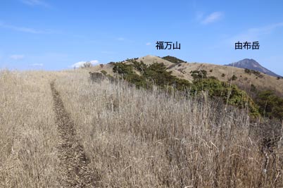 福万山山頂が見える