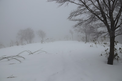 雪原