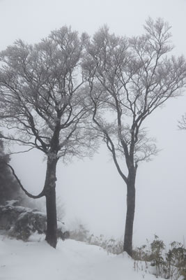 伯州山の門番