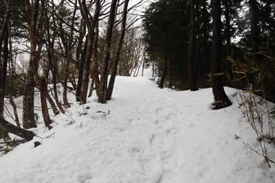 山友の足跡