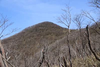 那岐山山頂