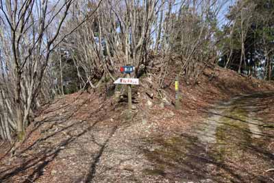 那岐山林道を横切る