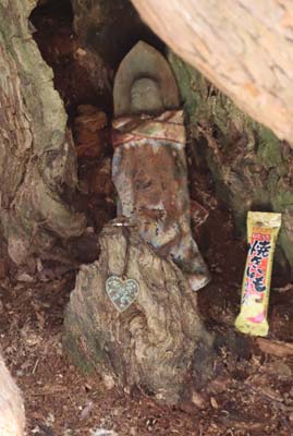 アシュウ杉の仏像