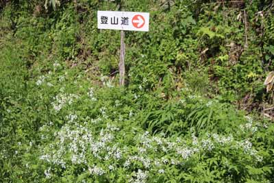 林道登山口