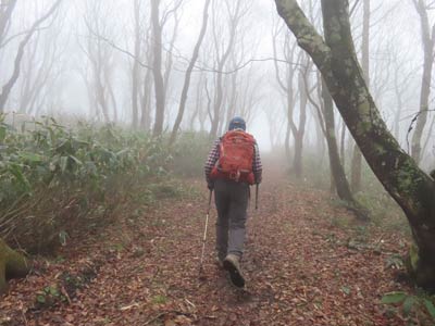 山頂へ