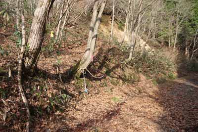 丸山登山口