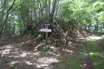 那岐山林道