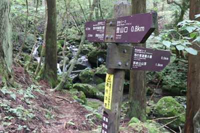 西仙渓流コースへ