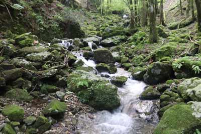西仙沢