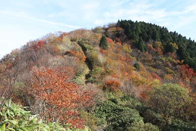 泉山直下