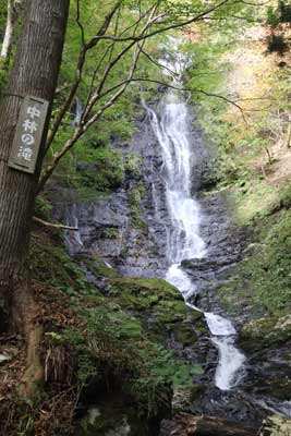 中林の滝