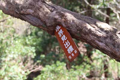 境界見出標