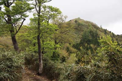 富栄山