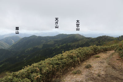 山頂から