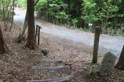 登山口