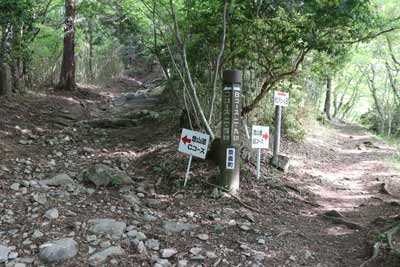 分岐