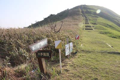 小代越