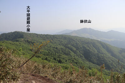 赤倉頭