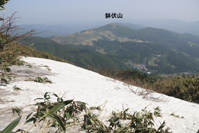 残雪