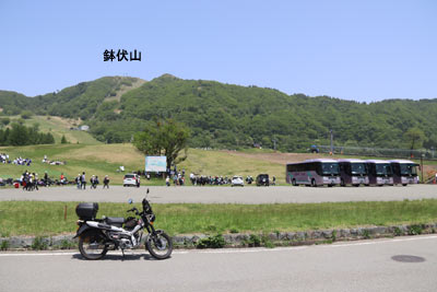 ハチ高原