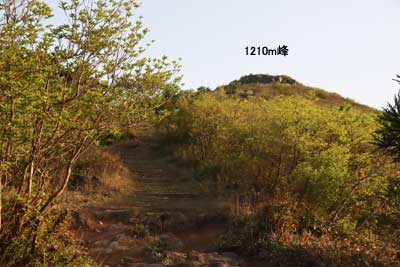 1210m峰へ
