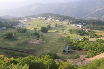 ハチ高原