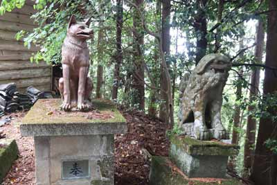 狛狼と狛犬