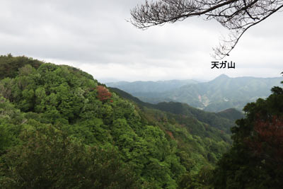 展望