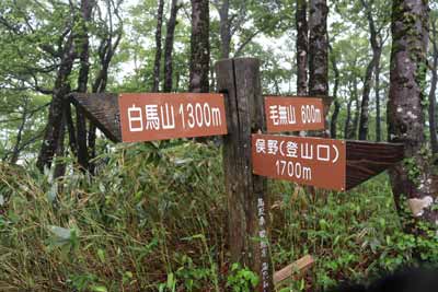 標識