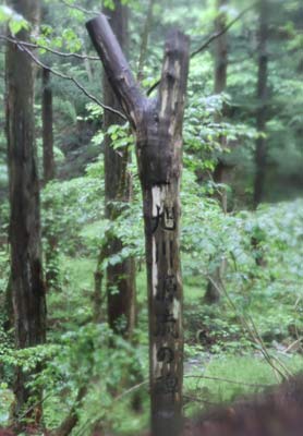 旭川源流の碑