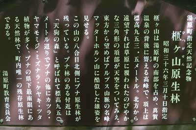 櫃ヶ山原生林の説明板