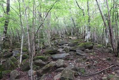 ゴーロの登山道