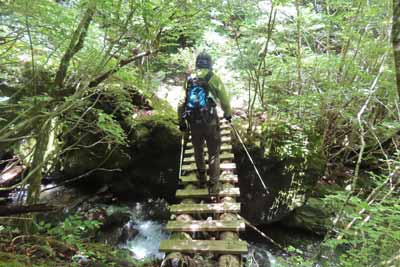 木橋