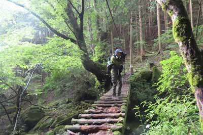 木橋