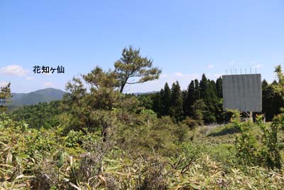 電波反射板