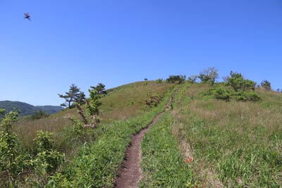 土塁