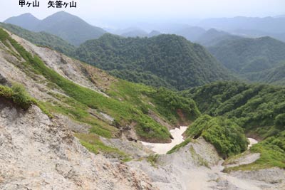 キリン沢