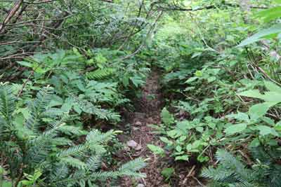 下山道