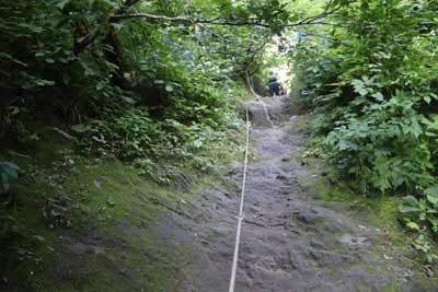 ロープ場
