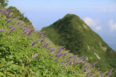 三鈷峰