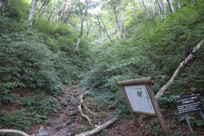 ユートピアコース登山口