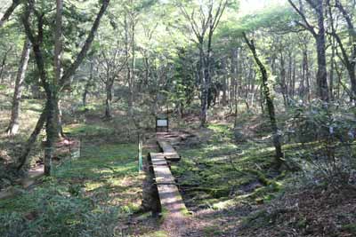 若杉峠