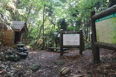 若杉峠