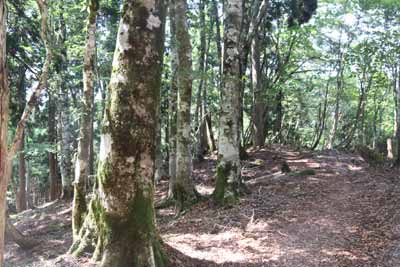下山道