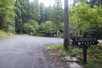 若杉天然林駐車場