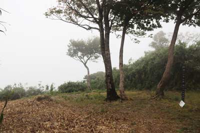 鍋ヶ谷山山頂
