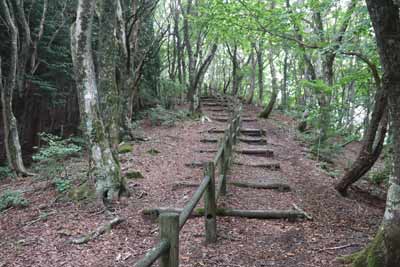 登山道