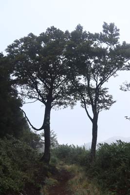 伯州山の門番