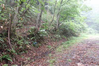 丸山登山口