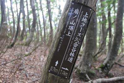 上地コース分岐